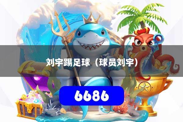 刘宇踢足球（球员刘宇）